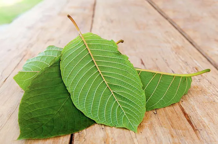 best kratom for pain
